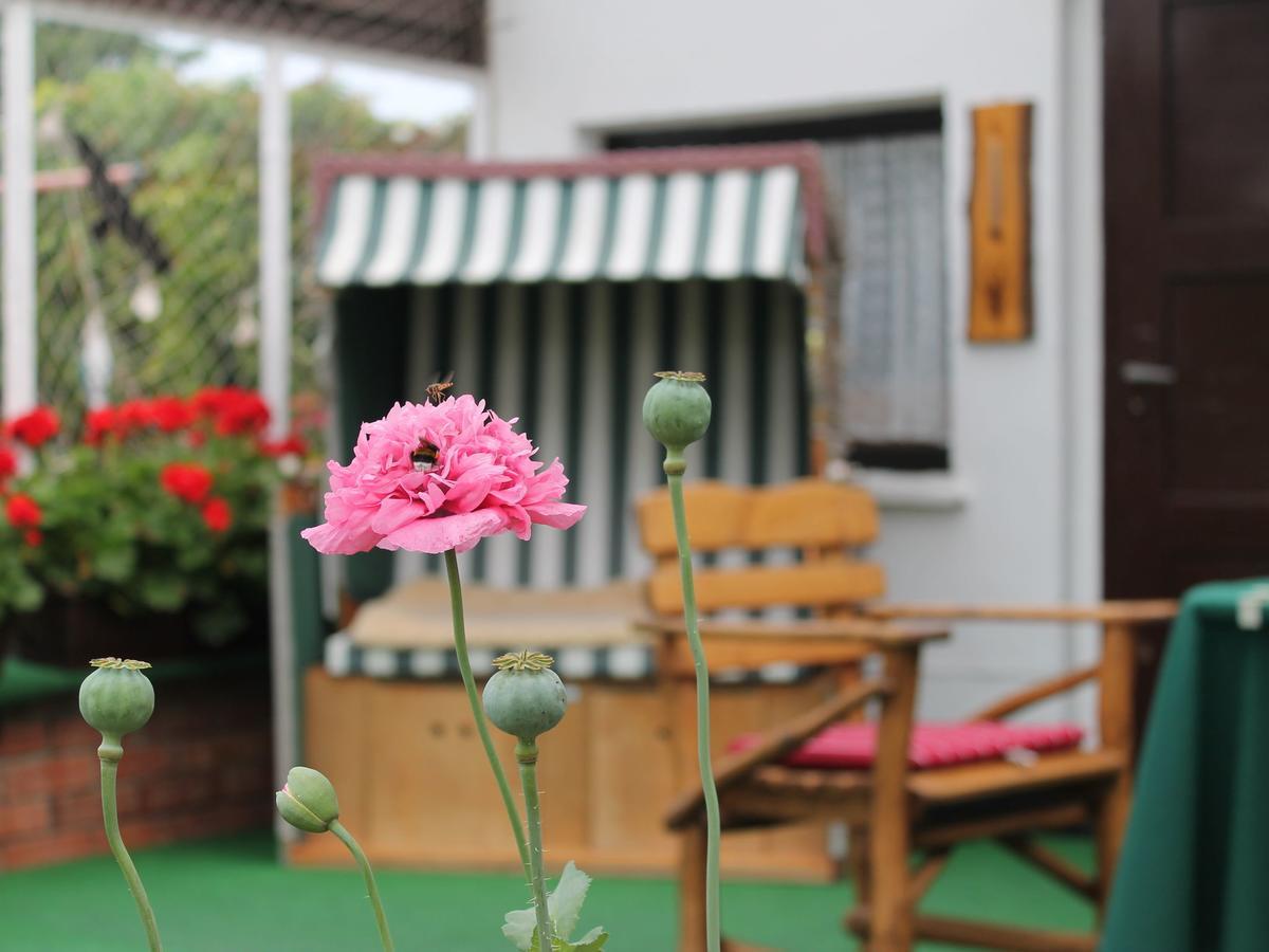 Apartment Rerik With Fenced Garden المظهر الخارجي الصورة